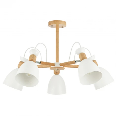 Потолочная люстра Evoluce Balcamo SLE103802-05