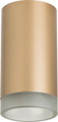 Точечный накладной светильник Lightstar Rullo R44030 (220V, круглые)