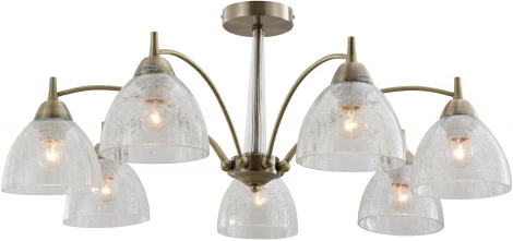 Потолочная люстра на штанге Rivoli Doreen 2079-307