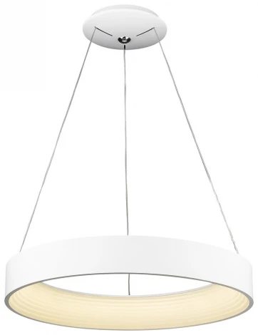 Подвесной светильник Wertmark Cerchio WE412.01.023 (LED, 220V, пульт управления, на тросе, кольцо)