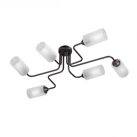 Потолочная люстра Vitaluce V4310-1/6PL (220V)