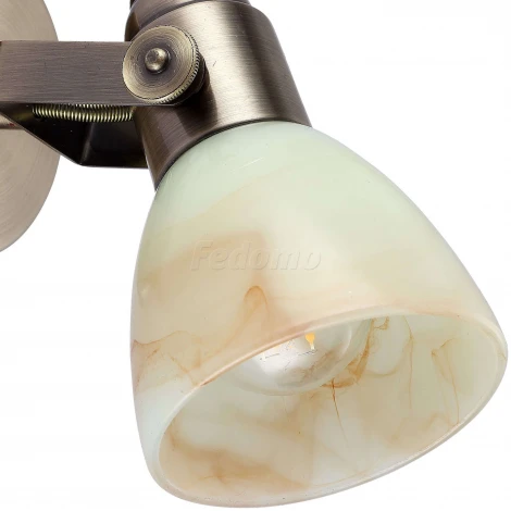 Спот Arte Lamp Tulip A9582AP-1AB