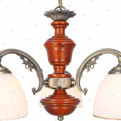 Подвесная люстра ST Luce Fiore 2 SL151.303.03