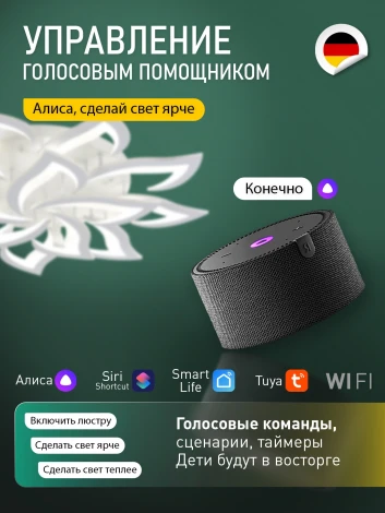 Потолочная люстра светодиодная Natali Kovaltseva Olimp Ii LED SMART 84024