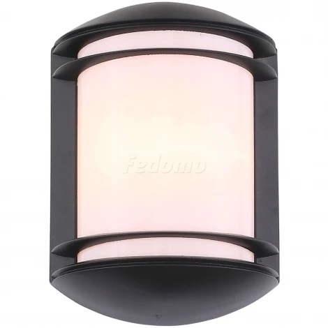 Настенный светильник уличный ST Luce Agio SL076.401.01