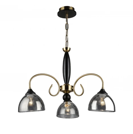 Подвесная люстра Мелодия Света 000060421