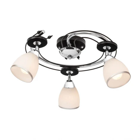 Потолочная люстра Silver Light Austerity 223.59.3