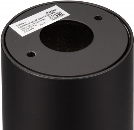 Накладной светильник Ritter Essen 52060 3