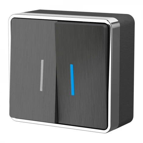 Выключатель двухклавишный с подсветкой Gallant (графит рифленый) Werkel W5020104 (a051340)