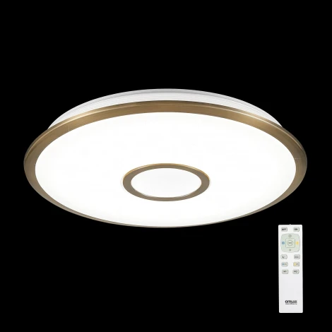 Потолочный светильник Citilux Старлайт R CL70363R