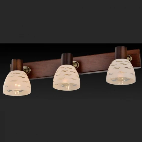 Спот Toplight Shayla TL3730Y-03BB