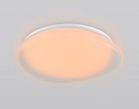 Потолочный светодиодный светильник с пультом управления Ambrella Orbital FZ1610 FR матовый IP20 40W 3000-6500K+RGB