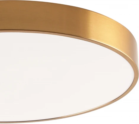 Потолочный светильник круглый светодиодный Zortes Tortty ZRS.02566.96 (220V, круглые, IP21)