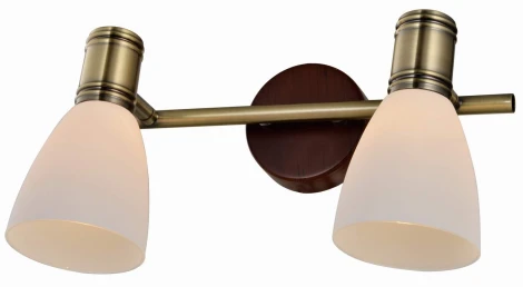 Спот Toplight Sharyl TL3720Y-02BB