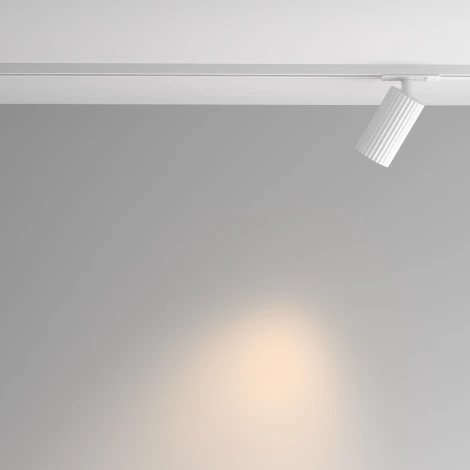 Трековый светильник однофазный 10W 48V Maytoni Calipso TR218-1-GU10-W (220V)