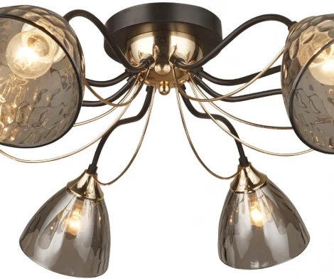 Потолочная люстра Wedo Light Livorno 66659.01.15.08