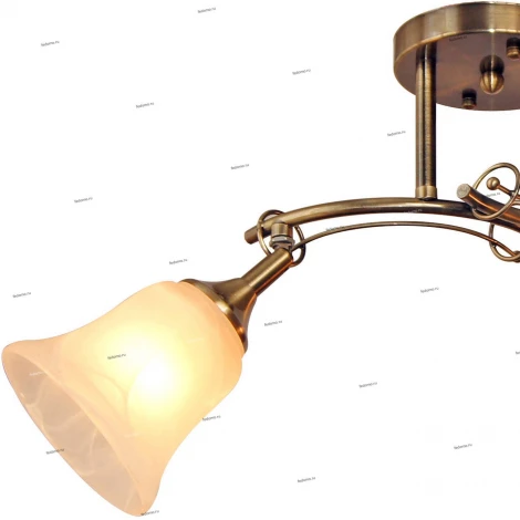 Потолочная люстра IDLamp Paolina 851/2PF-Oldbronze