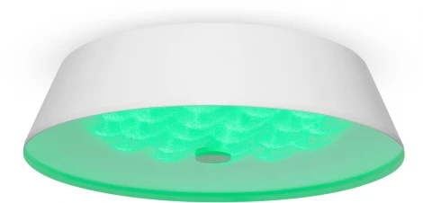 Потолочный светильник Freya Cells FR10013CL-L24W