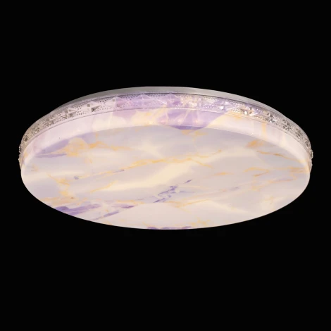 Потолочный светильник круглый с пультом светодиодный De City Ривз 674018501