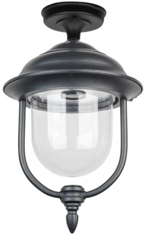 Потолочный светильник уличный Oasis Light MADRID 84305A Bl