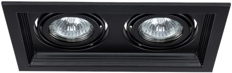 Встраиваемый точечный светильник Arte Lamp Canis A6661PL-2BK (220V)