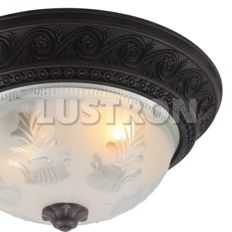 Потолочный светильник Arte Lamp Piatti A8006PL-2CK