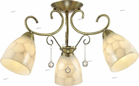Потолочная люстра Lumion Eleconca 3511/3C