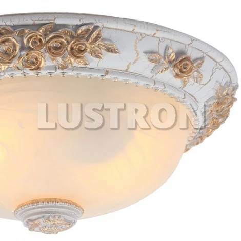 Потолочный светильник круглый Arte Lamp Torta A7101PL-2WG (220V, розы)