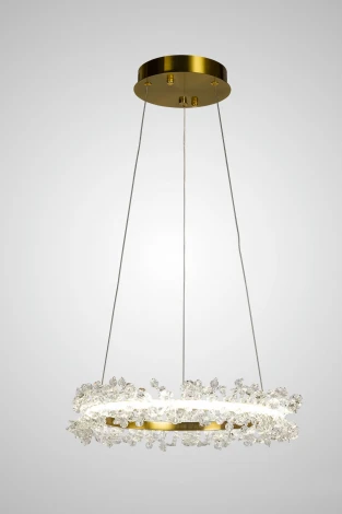 Подвесной светильник светодиодный AM Group AM455 L400 POLISHED GOLD (220V, на проводе, кольцо)
