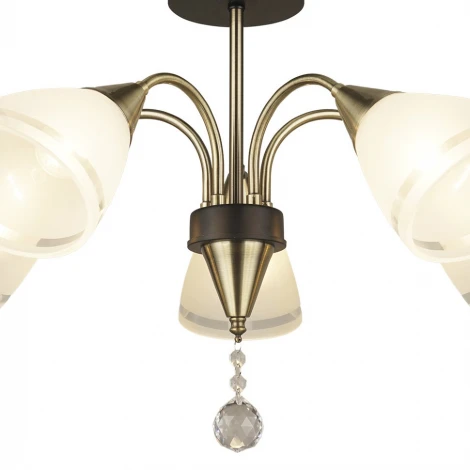 Потолочная люстра Wedo Light Eliena 66612.01.37.05