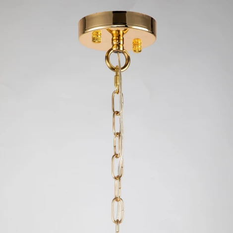 Подвесная люстра Favourite Nubes 2966-5P (220V, на цепи)