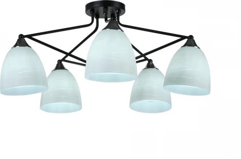 Потолочная люстра Мелодия Света SL1N 000023559