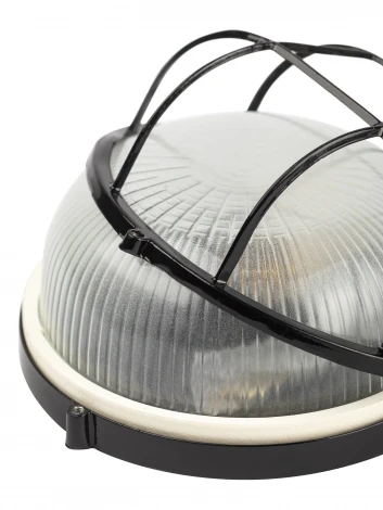 Настенно-потолочный светильник ЭРА НБП 03-100-002 в инд. упаковке НБП 03-100-002 черный