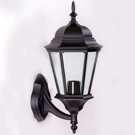 Настенный фонарь уличный Oasis Light 91401L Bl (220V, IP44)