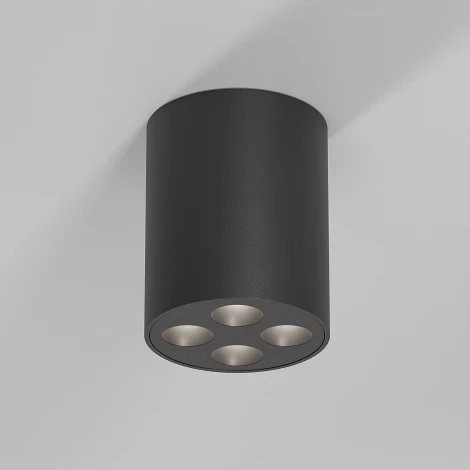 Светильник потолочный светодиодный Elektrostandard Points 25111/LED черный (220V, круглые)