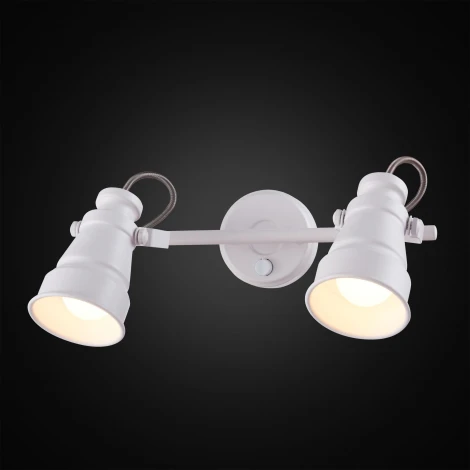 Спот на штанге Citilux Бейкер CL541520 (220V, выключатель, круглые)