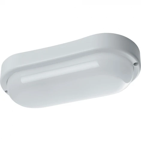 Настенно-потолочный светильник Feron 41319 (LED, 220V, IP65)