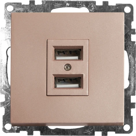 Розетка с USBх2 (шампань) Stekker Катрин 39602