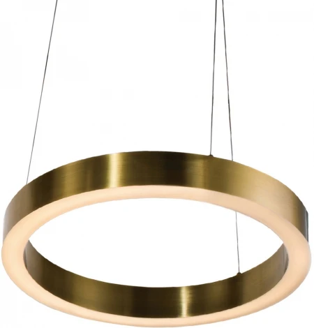 Подвесной светильник Cloyd Raunds 10252 (LED, 220V, на тросе, круглые, кольцо)