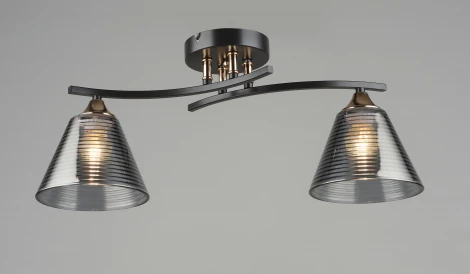 Потолочная люстра на штанге SL8241-2 CF+GD Мелодия Света SL1N 000065848