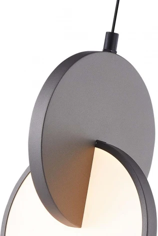 Подвесной светильник F-Promo Grahan 4609-1P (LED, 220V, на проводе, круглые)