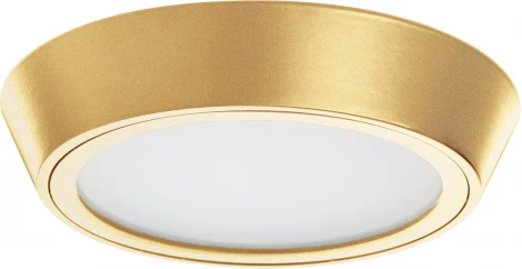 Светильник накладной со встроенными светодиодами Lightstar Urbano 214934 (220V, круглые, IP65)