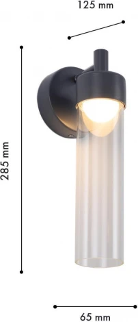 Настенный светильник уличный Favourite Pixar 4703-1W (LED, 220V, круглые, IP54)