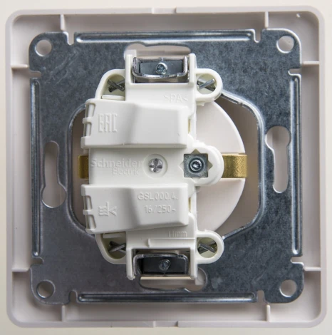 Розетка встраиваемая с заземлением (перламутровый) Systeme Electric Glossa GSL000642