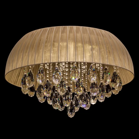 Потолочная люстра MW-Light Жаклин 465015217