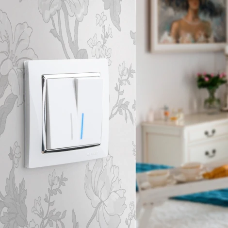 Выключатель двухклавишный с подсветкой (белый) Werkel W1120101 (a051114)