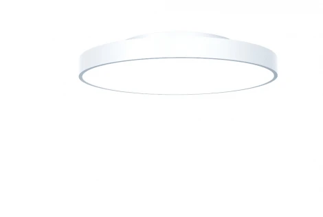 Потолочный светильник светодиодный Lumker NX DL-BROC-6004834-WH-NN