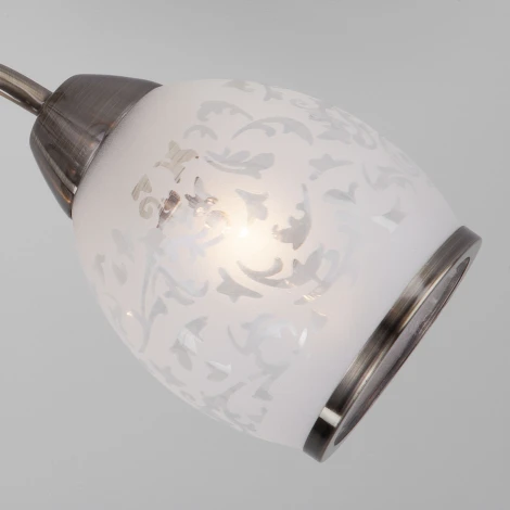 Потолочная люстра Eurosvet 30026 30026/5 античная бронза (220V, лепестки)