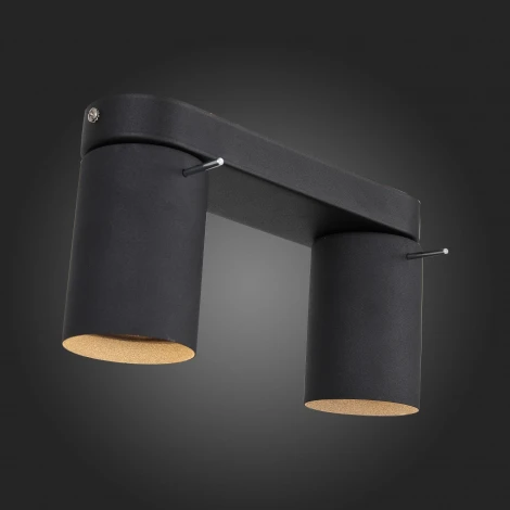 Спот ST Luce Fanale SL597.401.02 (220V, круглые)