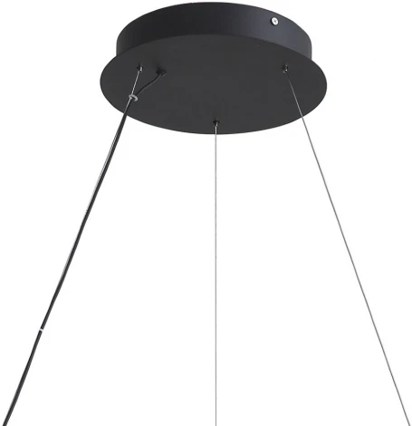 Подвесной светильник Lumien Hall Belgin LH8030/1PS-SBK